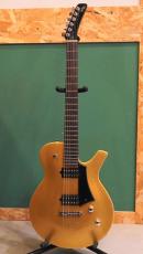 Parker PM-20G Gold Top_11