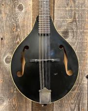 OME A-Style Mandolin "Black Top" 1970's_3