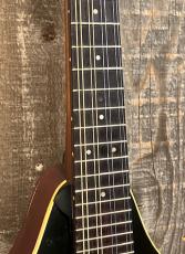 OME A-Style Mandolin "Black Top" 1970's_4