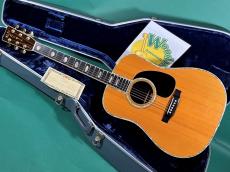 Martin D-45 
