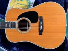 Martin D-45 _2