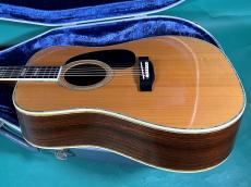 Martin D-45 _4