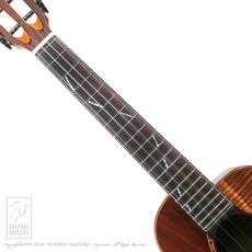 TODA Guitars VT-CW (ALL Hawaiian Milo)_5