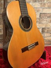 アルハンブラ　Alhambra K1C　中古　610mm_3