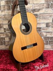 Paco Castillo パコ・カスティージョ Model:204C 杉・ローズウッド【新品】 _3
