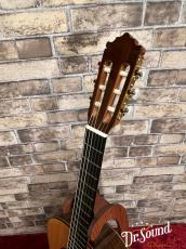 Paco Castillo パコ・カスティージョ Model:204C 杉・ローズウッド【新品】 _7