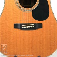 Martin CTM 7-35_10
