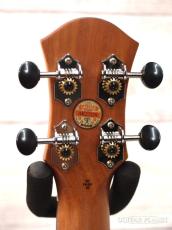 aNueNue Hawaiian Dream Solid Mahogany / Mahognay II (aNN-C3) 【コンサート/マホガニー】【トップ単板】【送料込】_9