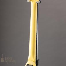 Aria Pro II XX DELUXE WTB_10