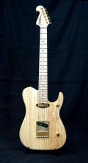 Washburn NELE STANDARD_2