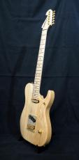 Washburn NELE STANDARD_3