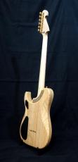 Washburn NELE STANDARD_5