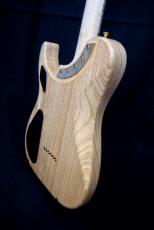 Washburn NELE STANDARD_8