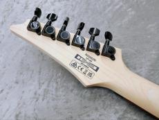 Ibanez RG350ZB Weathered Black Mod_10