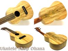 Pono [MGC-K] Kalele Series コンサート マンゴー単板_3