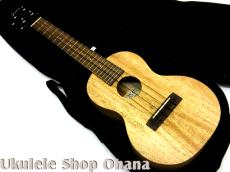 Pono [MGC-K] Kalele Series コンサート マンゴー単板_5
