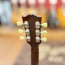 Archtop Tribute  AT105 Jr. Classic 2020s_5