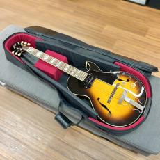 Archtop Tribute  AT105 Jr. Classic 2020s_9