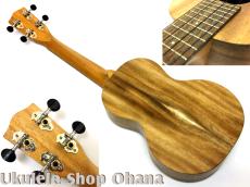 Pono [AC-K] Kalele Series コンサート アカシア単板_2