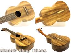 Pono [AC-K] Kalele Series コンサート アカシア単板_3