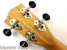 Pono [AC-K] Kalele Series コンサート アカシア単板_13