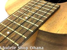Pono [AC-K] Kalele Series コンサート アカシア単板_14