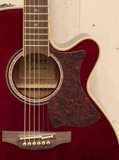 Takamine DMP551C WR / Contact PU 【無金利分割OK】_3