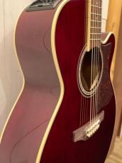 Takamine DMP551C WR / Contact PU 【無金利分割OK】_4