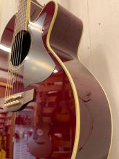 Takamine DMP551C WR / Contact PU 【無金利分割OK】_5