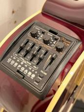 Takamine DMP551C WR / Contact PU 【無金利分割OK】_6