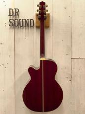 Takamine DMP551C WR / Contact PU 【無金利分割OK】_10