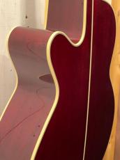 Takamine DMP551C WR / Contact PU 【無金利分割OK】_11