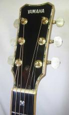 YAMAHA LL-55 Special Custom / Flagship Model・Custom Head・Top & Side & Back Abalone Inlay・L-53 Rosette・Solid Ezo Spruce Top・Solid Jacaranda Side and Back 【With Original Case】  1995年製_3