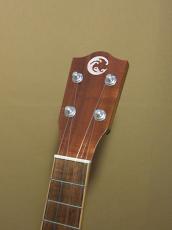 COTONE CC106C_6