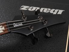 Ibanez SDB1 Sharlee D'Angelo Signature ~Black Flat~_2