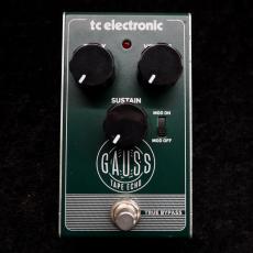 t.c. electronic GAUSS TAPE ECHO_4