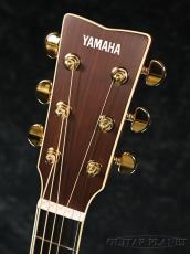 YAMAHA LL16 ARE BS【チョイキズ特価】【オンラインストア限定】_5