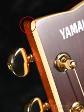 YAMAHA LL16 ARE BS【チョイキズ特価】【オンラインストア限定】_6
