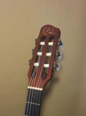 Godin ACS Slim_6