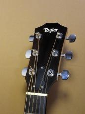 Taylor 114e_6