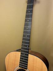 Taylor 114e_8