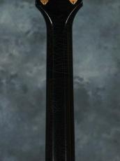 g7 Special g7-LPC Black Beauty Aged_12