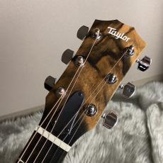 Taylor 114ce-S【現物画像】【最大36回分割無金利キャンペーン実施中】_8