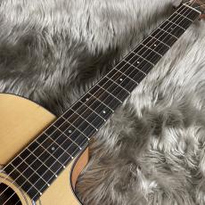 Taylor 114ce-S【現物画像】【最大36回分割無金利キャンペーン実施中】_9