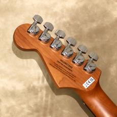 Charvel Pro-Mod Plus Dinky DK24 HSS 2PT EB QM, Amber Tiger Eye_5