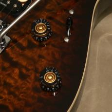 Charvel Pro-Mod Plus Dinky DK24 HSS 2PT EB QM, Amber Tiger Eye_8