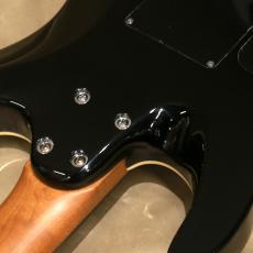 Charvel Pro-Mod Plus Dinky DK24 HSS 2PT EB QM, Amber Tiger Eye_10