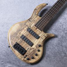 elrick e-volution 5 Bolt-on 35inch Curly Black Line Spalted Maple Top【3.44kg】【決算セール 目玉品】
