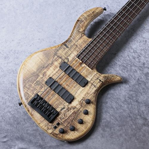 elrick e-volution 5 Bolt-on 35inch Curly Black Line Spalted Maple Top【3.44kg】【決算セール 目玉品】