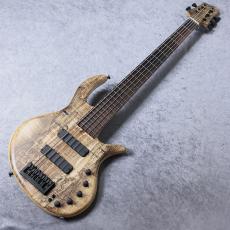 elrick e-volution 5 Bolt-on 35inch Curly Black Line Spalted Maple Top【3.44kg】【決算セール 目玉品】_2